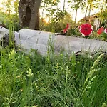 Small Cozy 3-room House With Terrace & Large Garden Holiday home