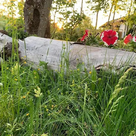 Small Cozy 3-room House With Terrace & Large Garden Vakantiehuis