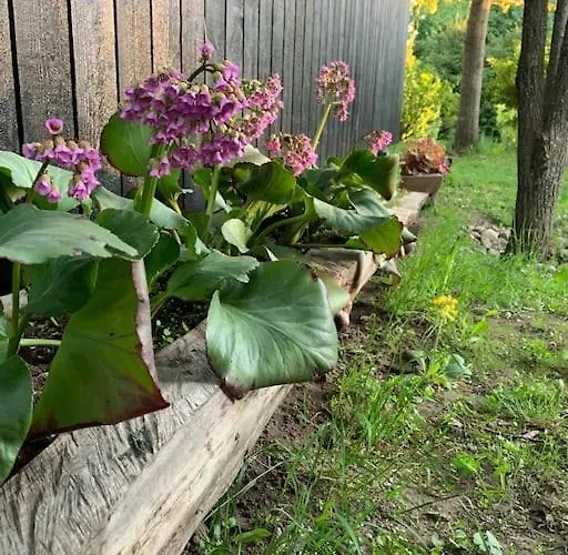 Dom wakacyjny Small Cozy 3-room House With Terrace & Large Garden