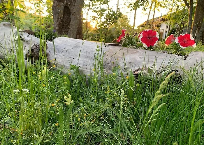 Small Cozy 3-room House With Terrace & Large Garden Dom wakacyjny