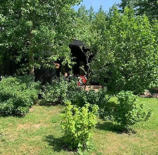 Small Cozy 3-room House With Terrace & Large Garden